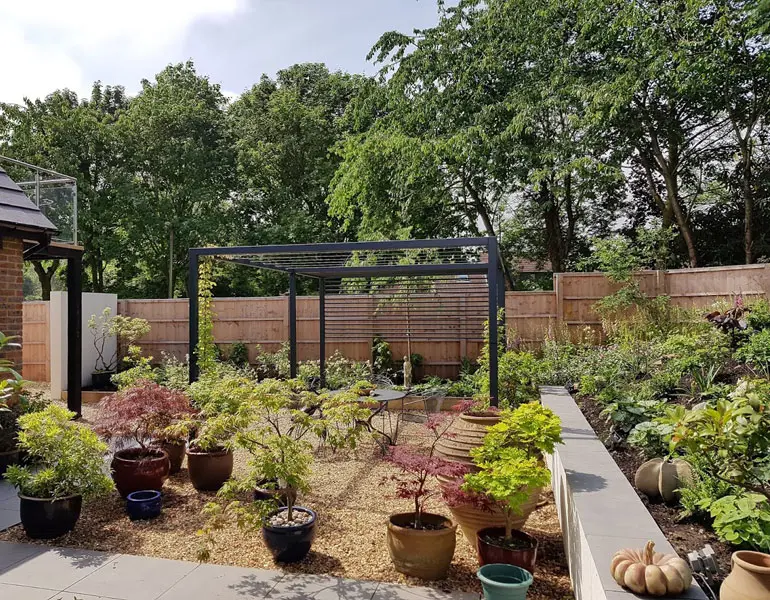Pergola in garden