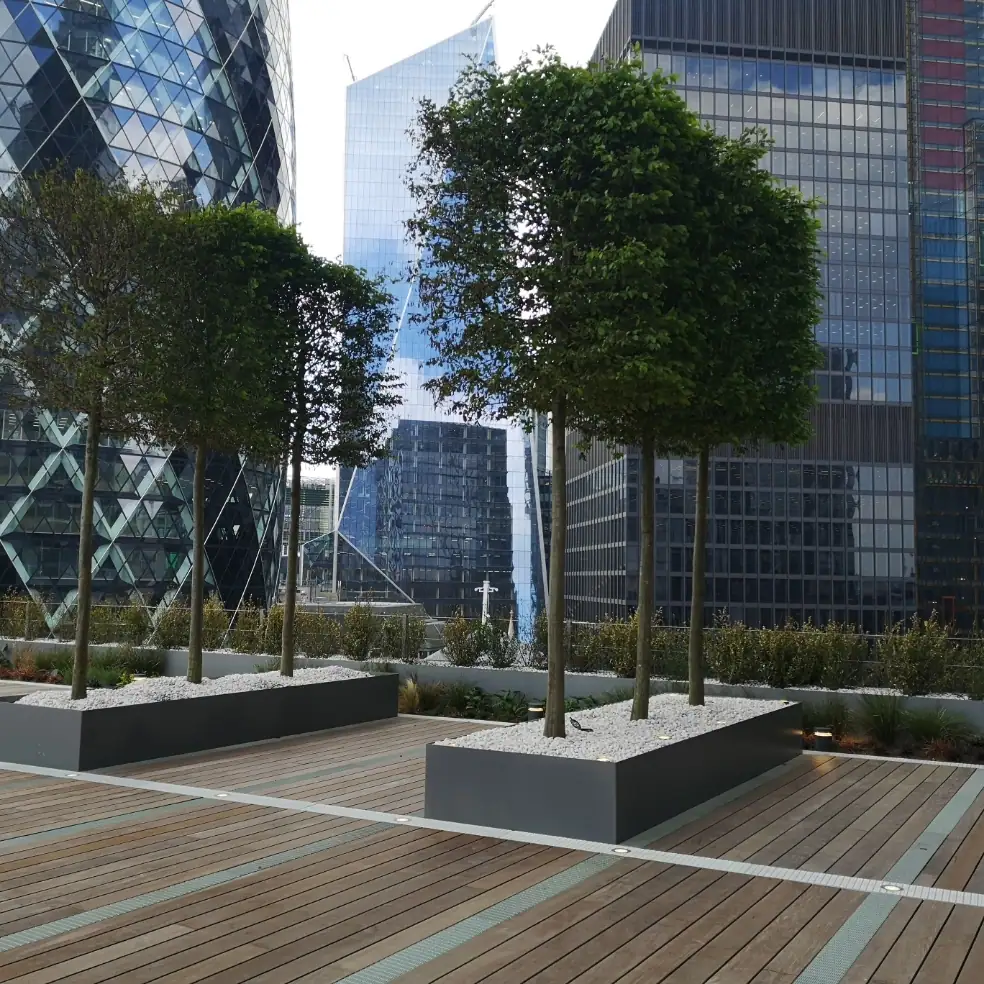 Planters next to corporate buildings